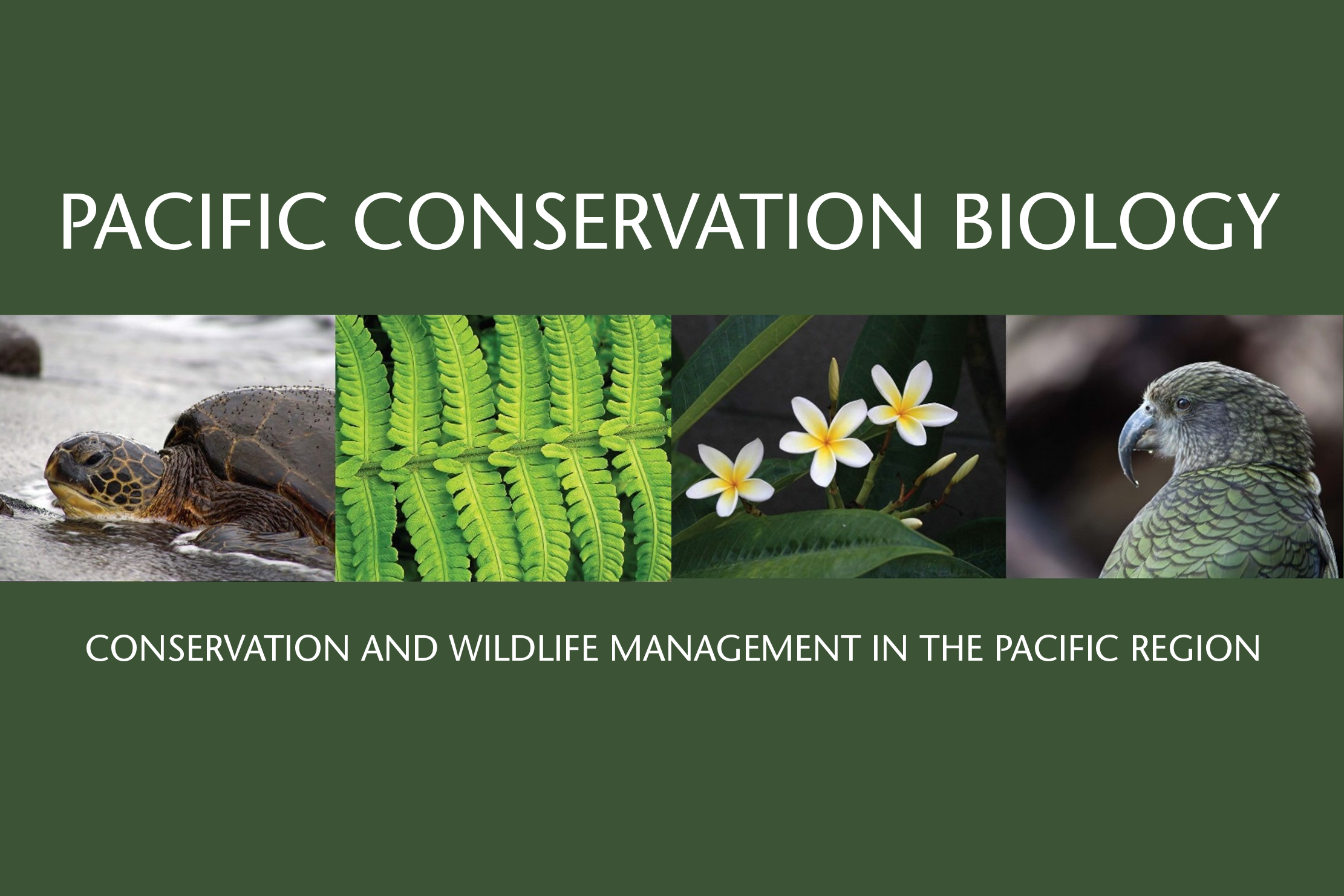Pacific Conservation Biology seeking a Social Media Editor